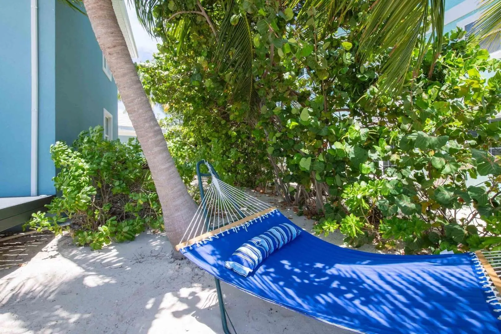 Blue Moon - A Diver'S Paradise In East End Next Door To Ocean Frontiers, Beach Cottage With Upgraded Interiors Gun Bay 0*,